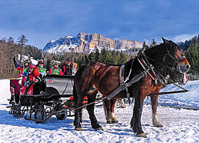Schneeschlittenfahrt mit Pferde